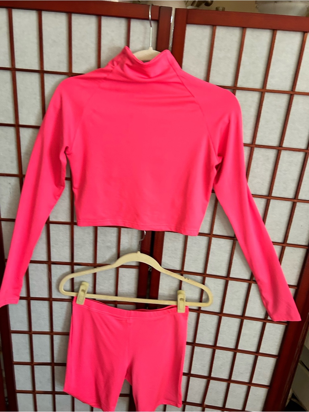 Neon Pink Long-Sleeve Crop Top - High Neck